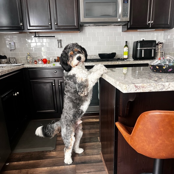 SURPRISE HAPPY MAIL - Picture 6 of 16